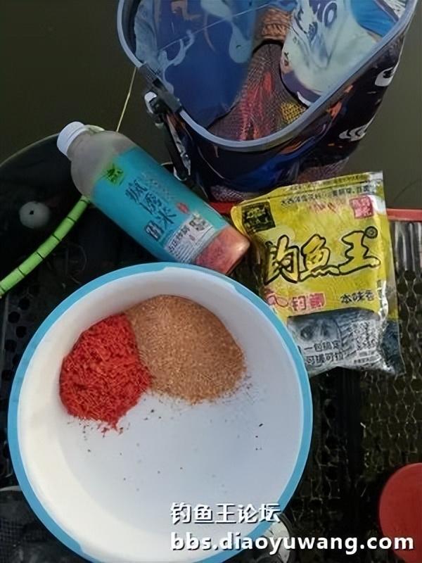 鲫鱼|红虫风暴加果香,野钓鲫鱼满地躺