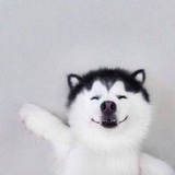 芊芊记笔记