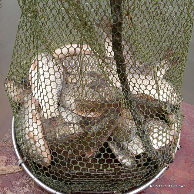 |鱼儿正在向我们招手,你做好准备了吗?