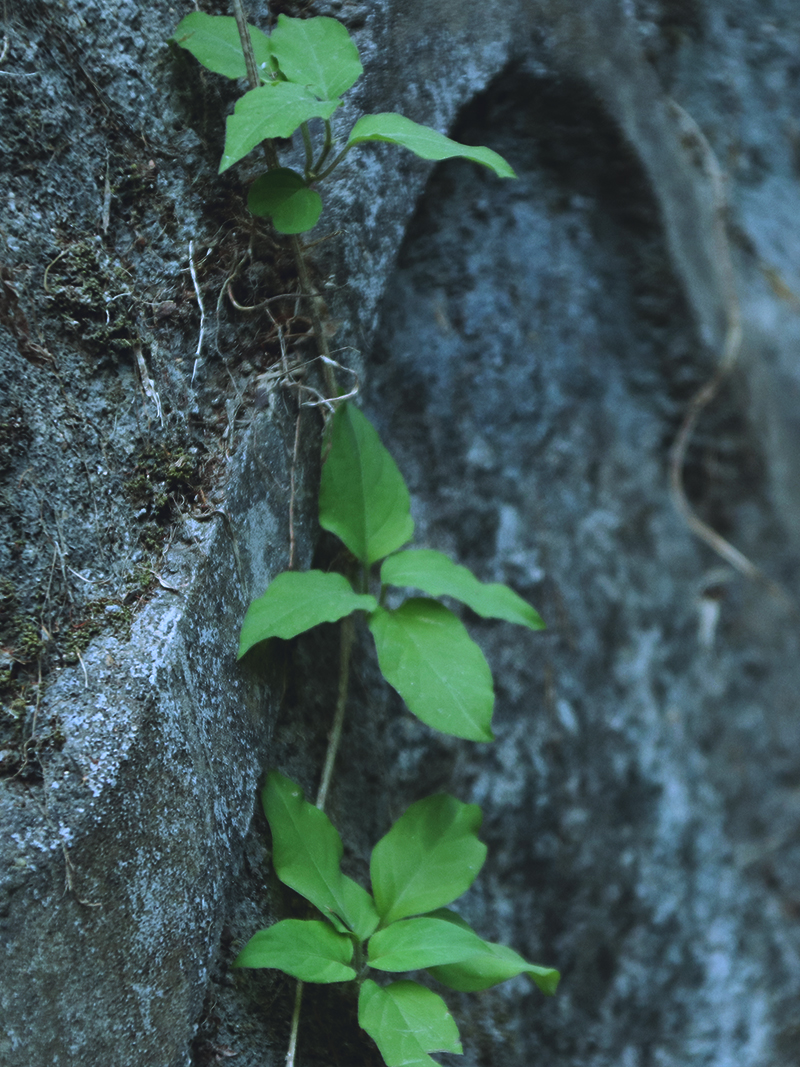 普通员工如何当上领导?