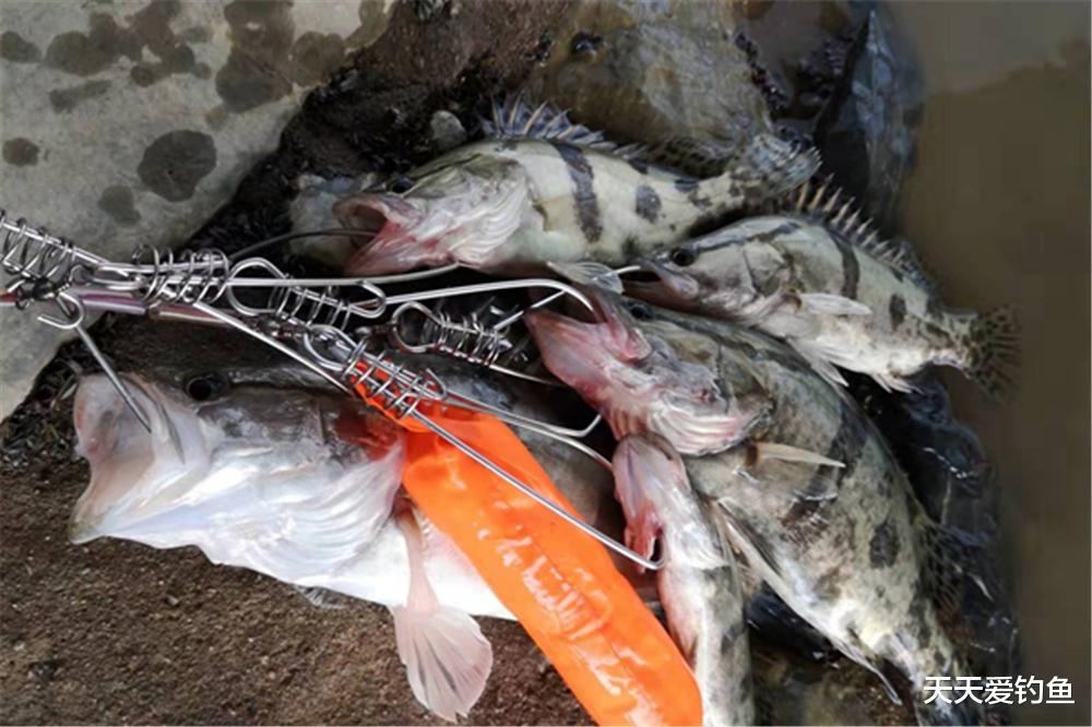 弹弓|野钓肉食性鱼类,最不需要技巧,这些“土”钓法有奇效