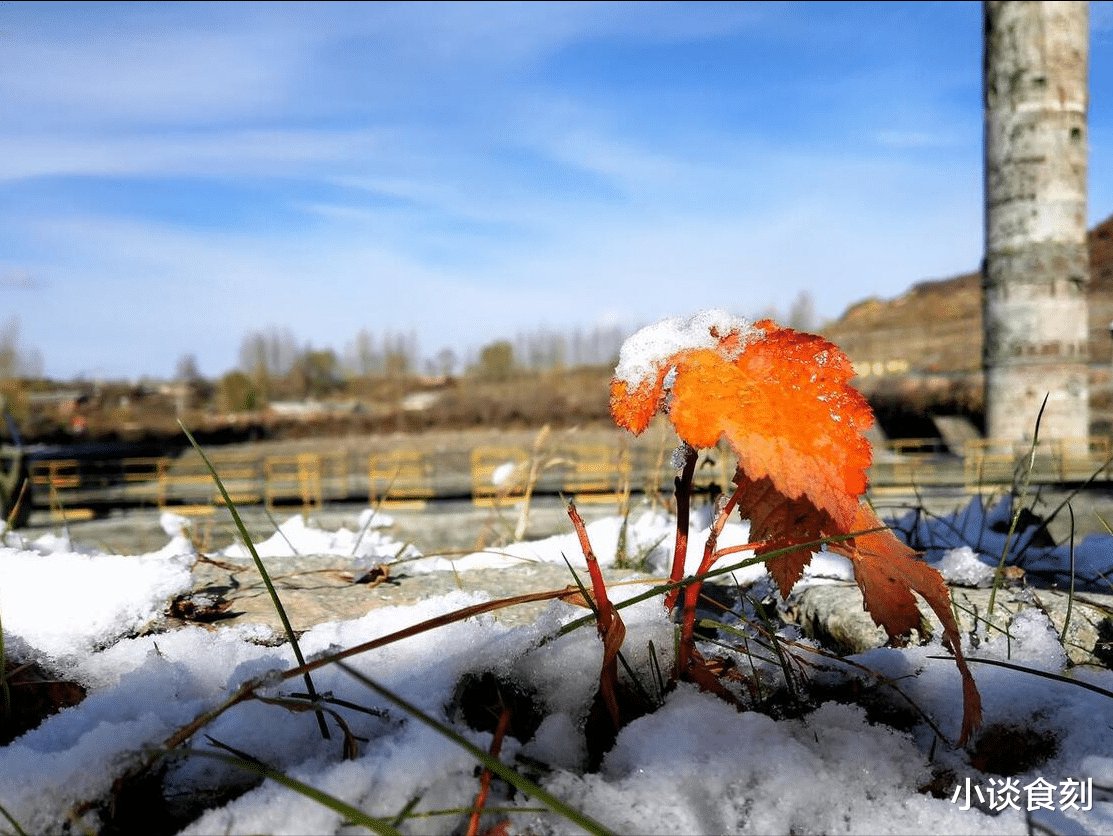|“冬天冷不冷,初一早看天”,明日十一月初一,如何看?春节冷吗