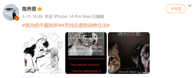 陈乔恩高调官宣,直接炸上热搜:18年了,终于等到这一天……