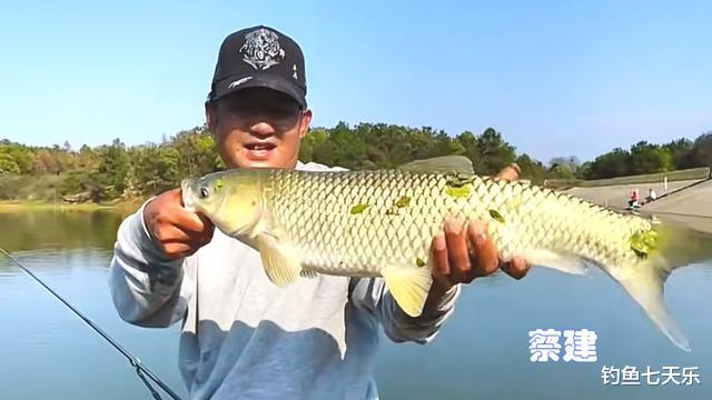 师父|钓王蔡建要“重新打钓鱼比赛”，刘志强助力师父东山再起