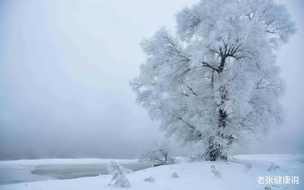 立冬已至，这些冬季养生的正确打开方式，别忘了收藏