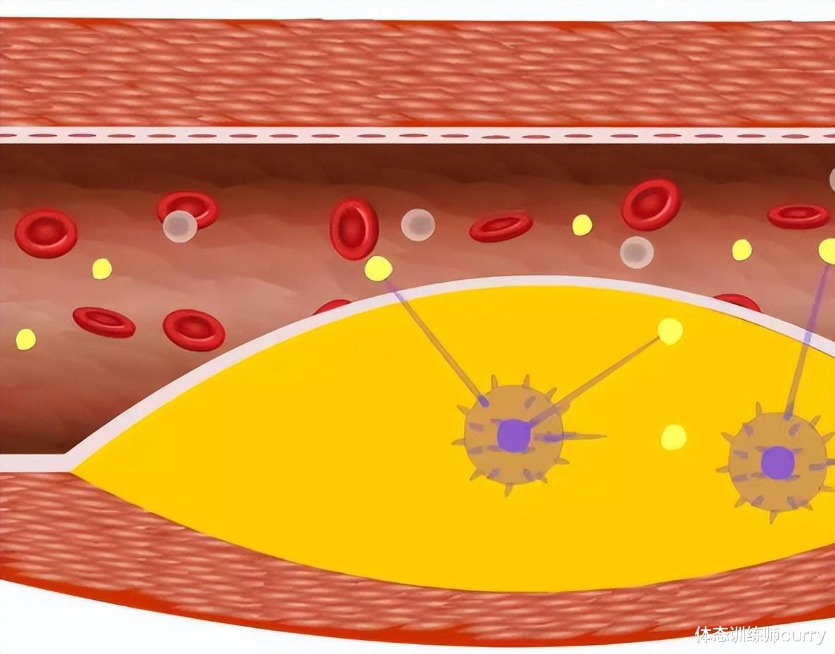 博物馆 男生“152-188cm体重表”公布,对照自查,或许你不胖,无需减肥