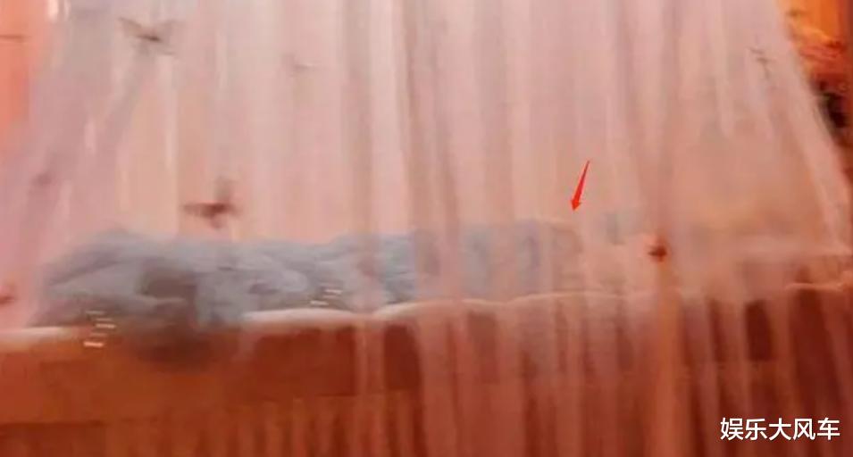 蔡天凤遗体成功修复!面色红润头发逼真,丈夫花百万设粉色灵堂