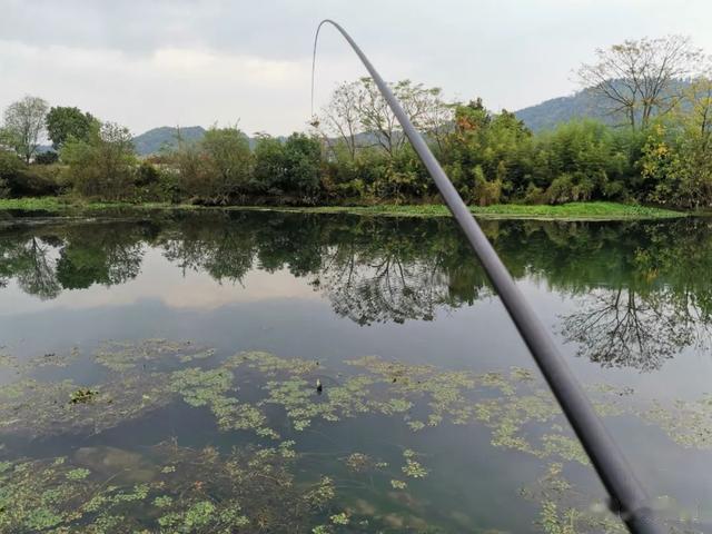 |探钓陌生水域的5个技巧,“找鱼”才是真正的爆护之道!