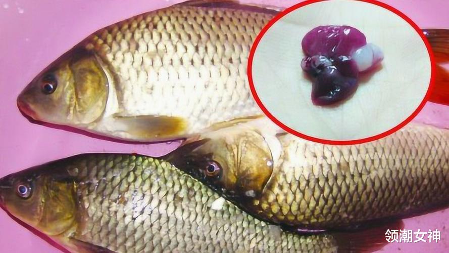 |爱吃鱼的注意了,这4点要记牢,为了家人的健康,现在了解还不算晚