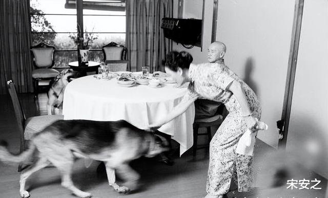 化妆|宋美龄卸妆后的样子，蒋介石贴身副官回忆与化妆时相差十万八千里