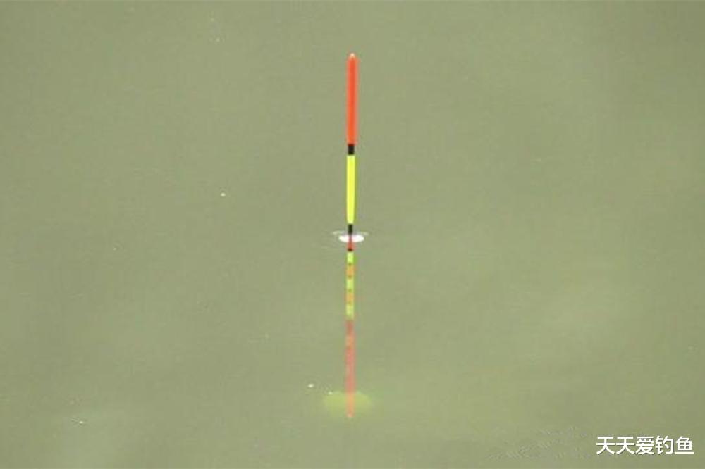 钓鱼技巧|钓鱼技巧:小跑铅与大跑铅,钓法有哪些区别?