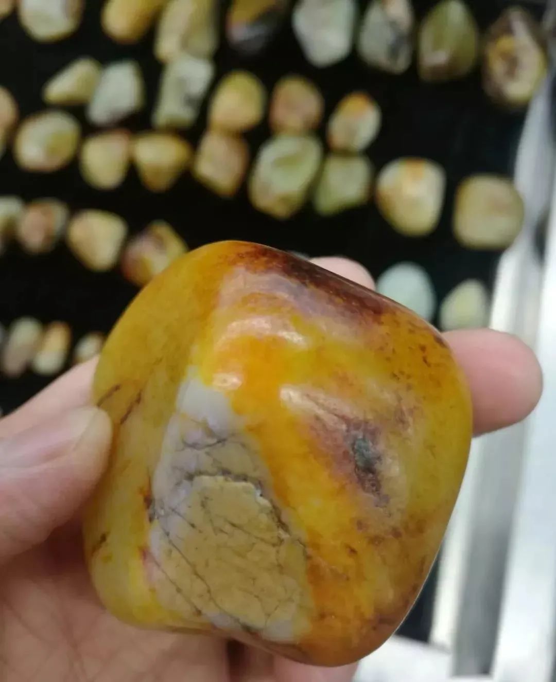 撕开假皮！玩籽料不打眼，进来看！