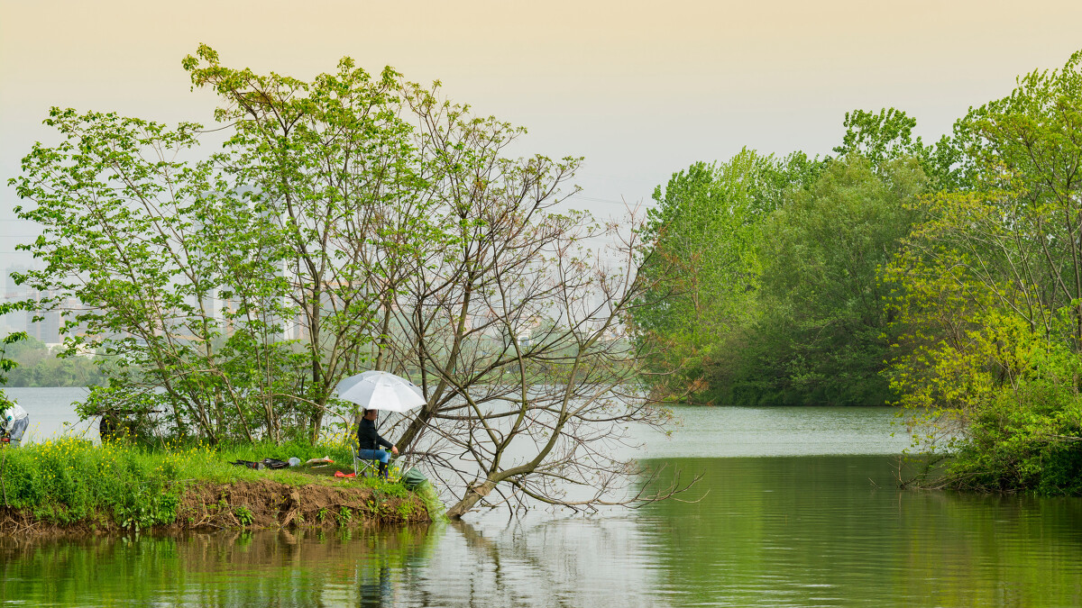 鲫鱼|春钓鲫鱼底钓长守无口，怎么打破僵局钓得渔获颇丰？
