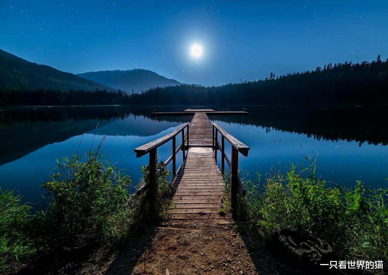 运势|迷失在星空中的你,不妨看看这份星座周运势指南!