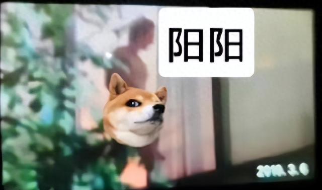 杨紫和鹿晗的故事告诉我们，世界上没有不透风的墙！