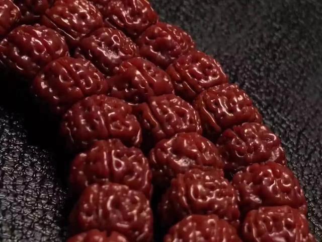 「文玩大观」金刚菩提：从入门到精通，文玩新宠的魅力之旅