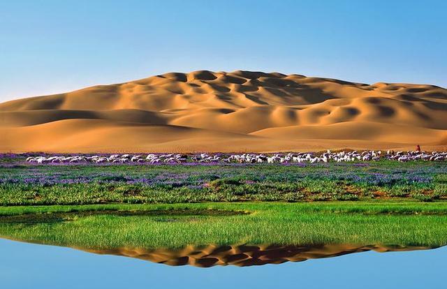 毛乌素沙漠|我国有一处面积比海南岛还大的沙漠，如今大部分已经变为绿洲