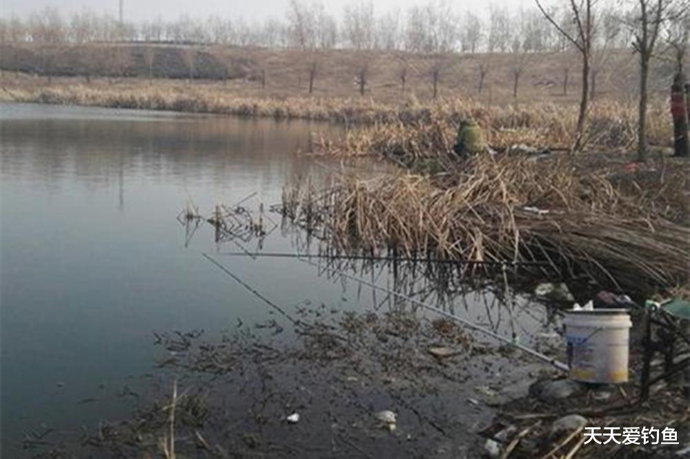 冬季野钓鲫鱼,5种天气鱼口最好,看准天气连竿上鱼