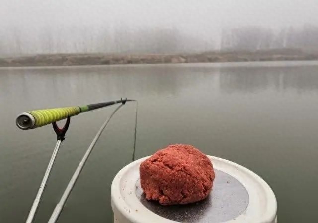 哪些钓鱼饵料令鱼未曾开口先转腚？远离这些，钓鱼无忧！