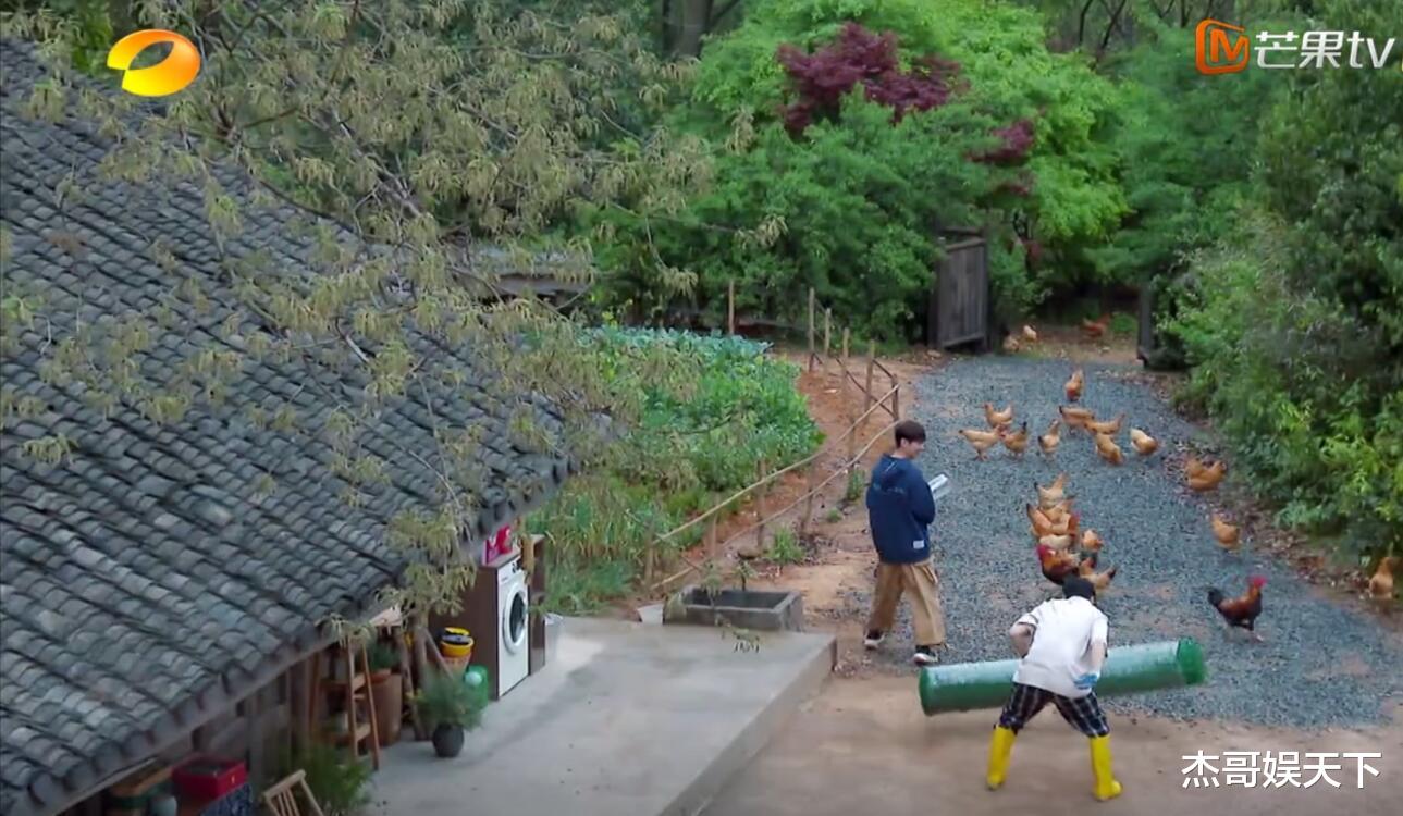 黄磊|大华回归！可惜已经变味儿了