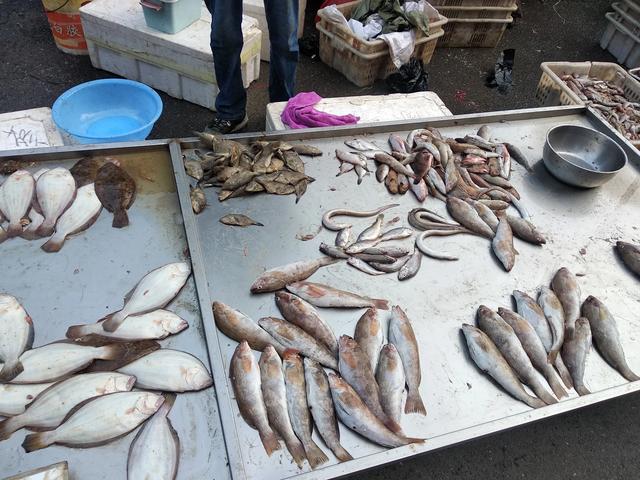 海鱼|多吃海鱼好,这5种海鱼很脏,含有大量重金属或寄生虫,建议少吃