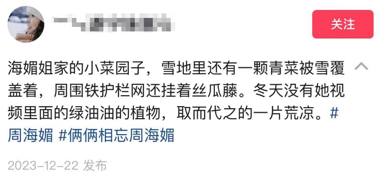 粉丝前往周海媚别墅悼念，菜园已一片荒凉，其母亲带着骨灰已返港