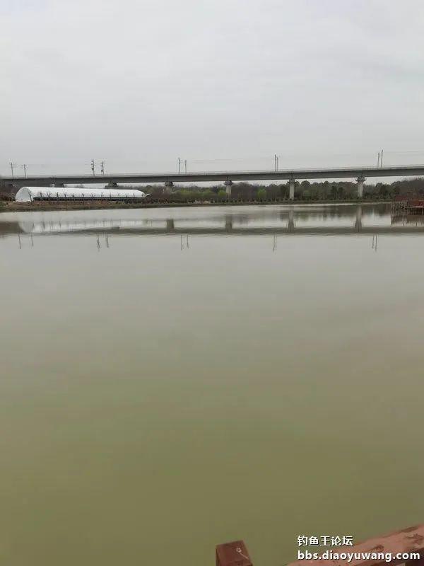 魁拔|初试魁拔极，轻挺有腰力