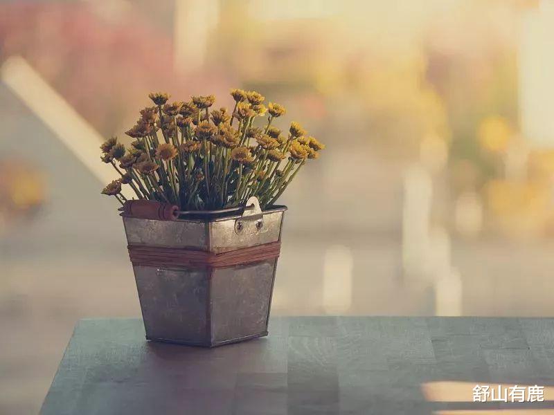 疾控|底层内卷定律：越劳碌的人，越会穷一辈子，无外乎这些原因