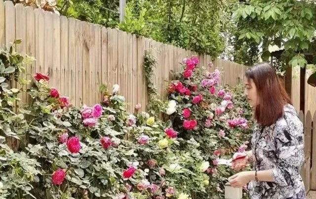 不婚不育无子女的周海媚,如果真的去世,亿万家产谁继承?