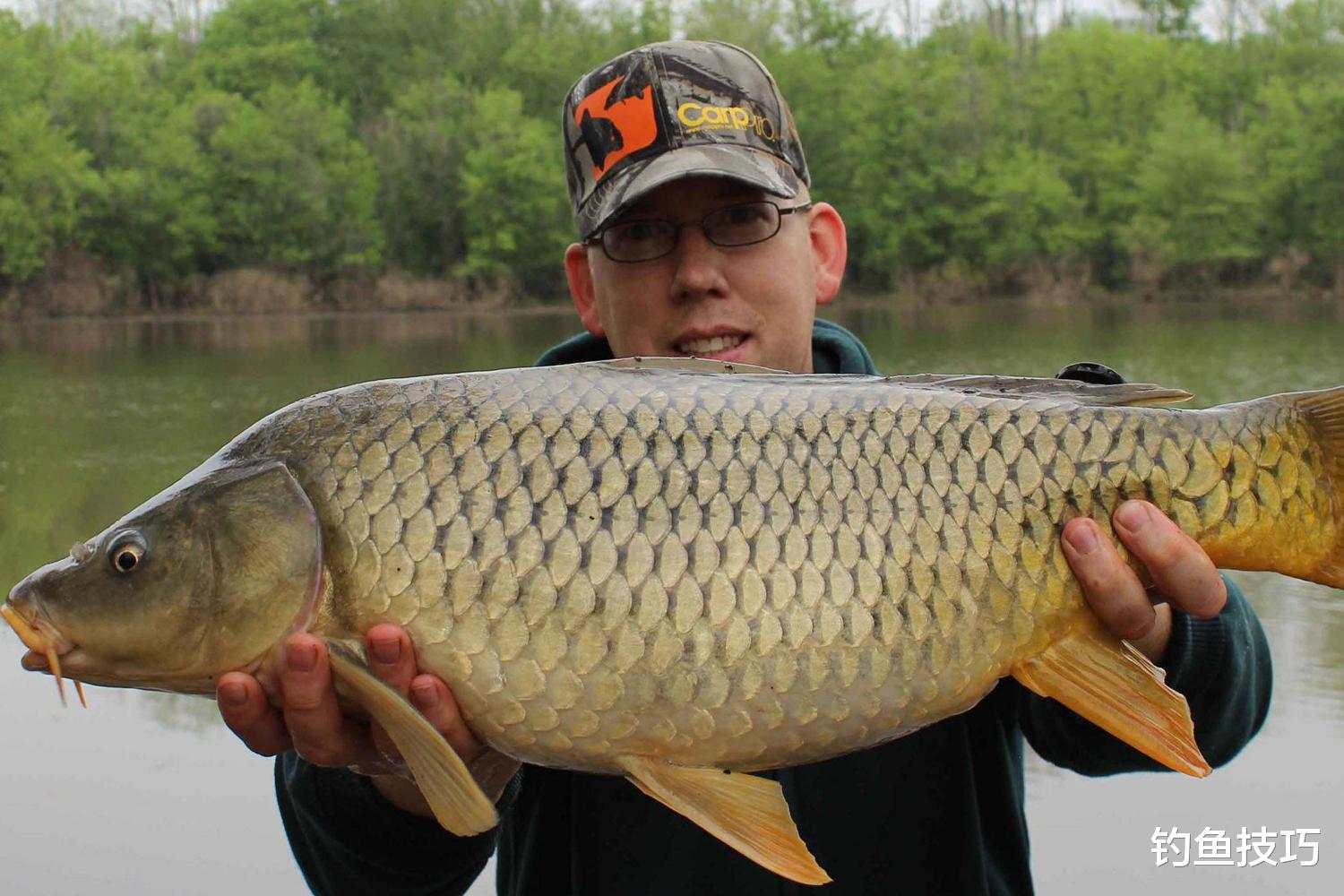 鱼竿|使用手竿钓巨物的4个秘诀,钓技越高鱼越大