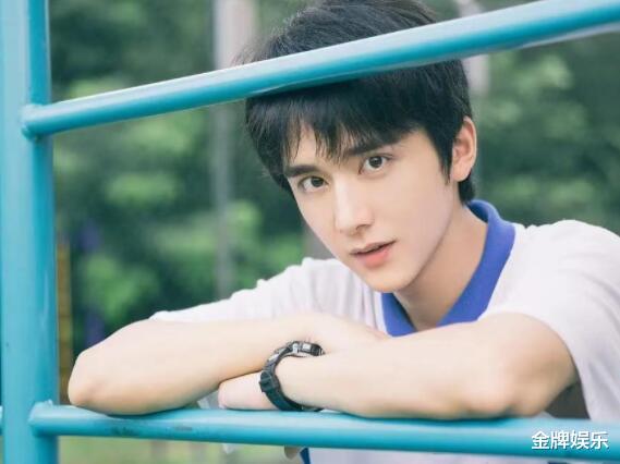 张颂文|张颂文微博评选惜败张新成!让我想到了热巴战胜殷桃的那届金鹰奖