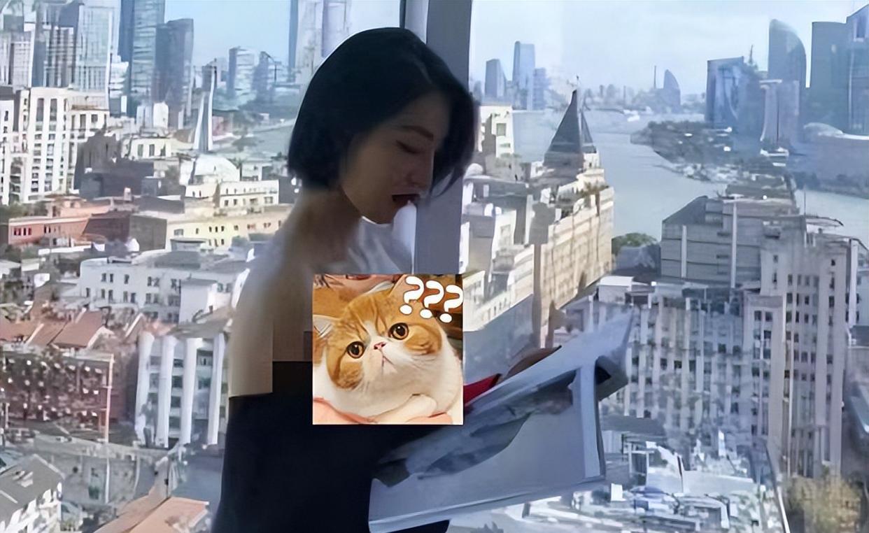 董小姐成功“上岸”,入职新公司月入4位数,短发办公近照很惊艳