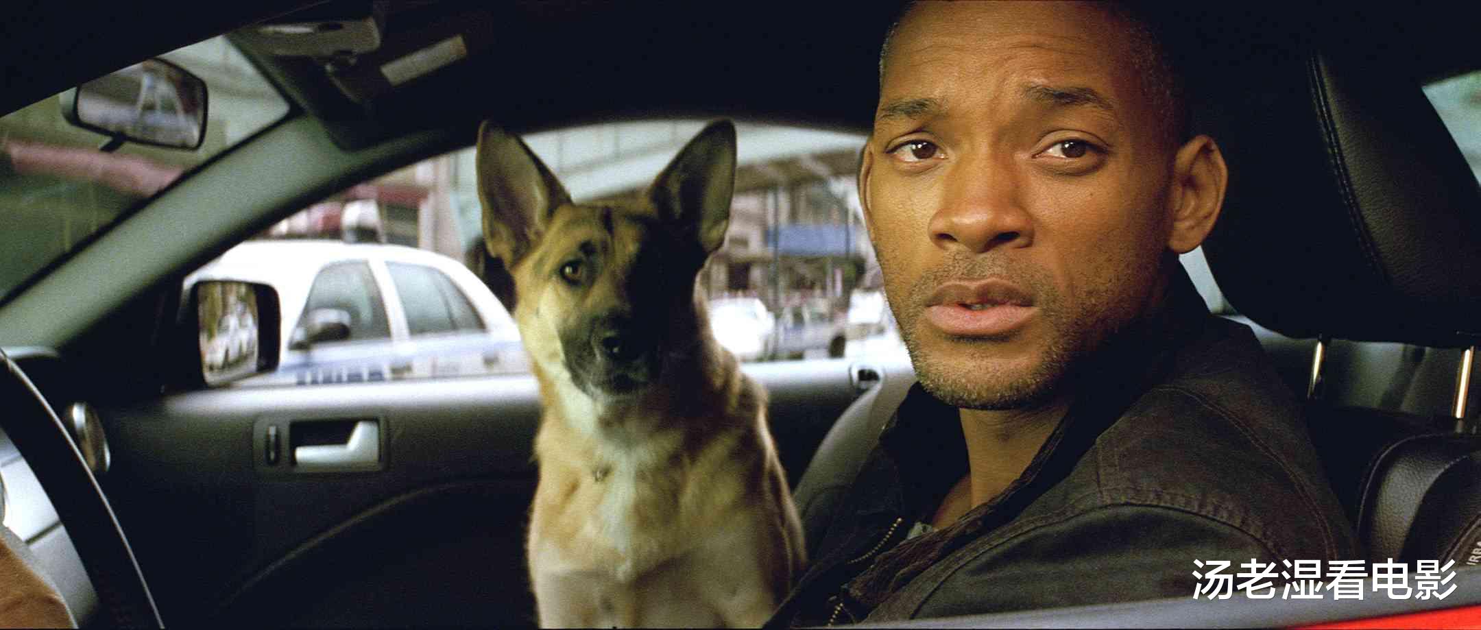 《我是传奇》续集确认开拍,剧本已就位,威尔·史密斯回归主演