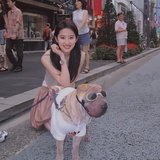篮球的回忆
