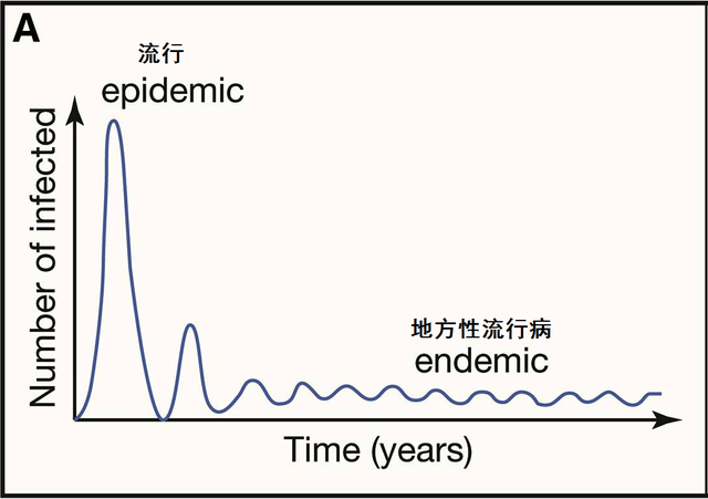 我们需要期待更高效的新冠疫苗吗?