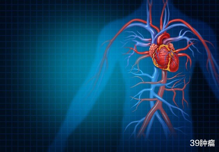 3个症状提示脑供血不足，医生提醒：不想脑梗或痴呆，做好4件事