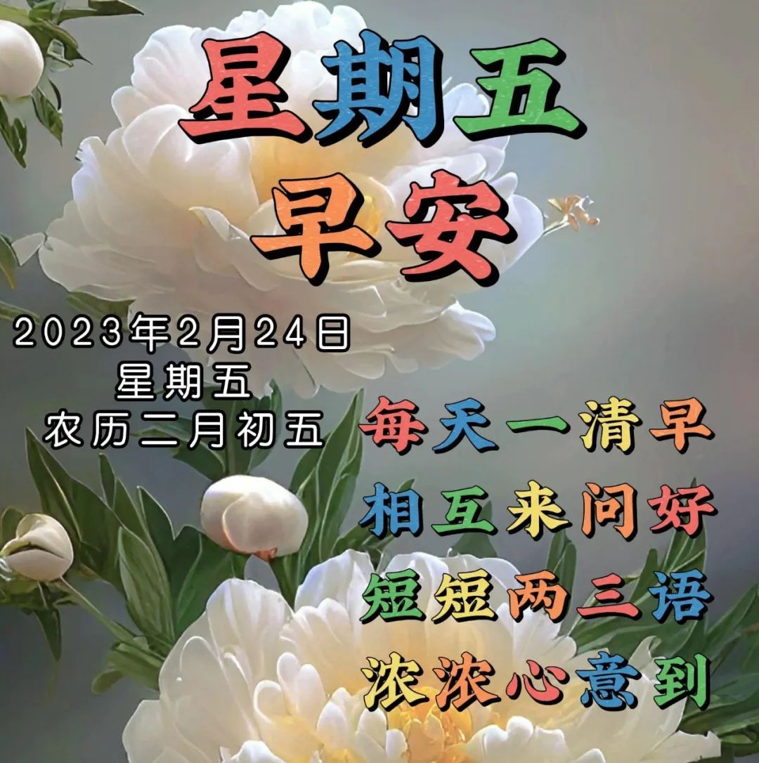 2月24日周五早上好今天幸福安康一整天星期五精选祝福图片 - 情感资讯