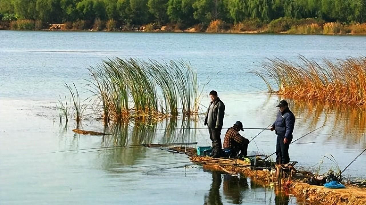 在冬季，哪些风向好钓鱼？哪些风向不好钓鱼？一次性分享给你