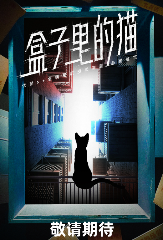 男人帮疑是集结新综艺《盒子里的猫》?是谁的DNA动了