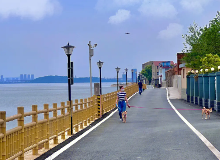 甲鱼|女大学生湖边捞到2斤重大甲鱼, 路过钓鱼佬称可帮领养, 竟信以为真