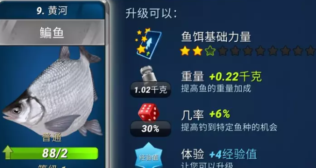 |新人最佳入坑时刻，钓鱼大对决鱼饵嘉年华助力钓友尽享渔趣