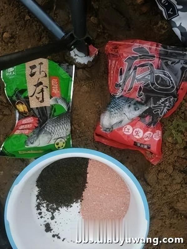 五龙河畔钓休闲,鲫鲤鲢鳙出水面