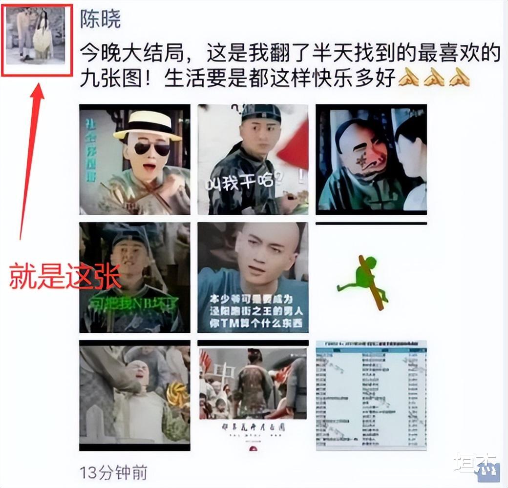 陈妍希|陈妍希在恋综不停秀恩爱，大家嗑到了还是尬到了？