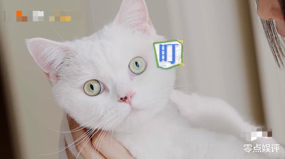 四十岁秦岚独享万千宠爱,有钱有颜只恋爱不结婚,千万豪宅住到嗨