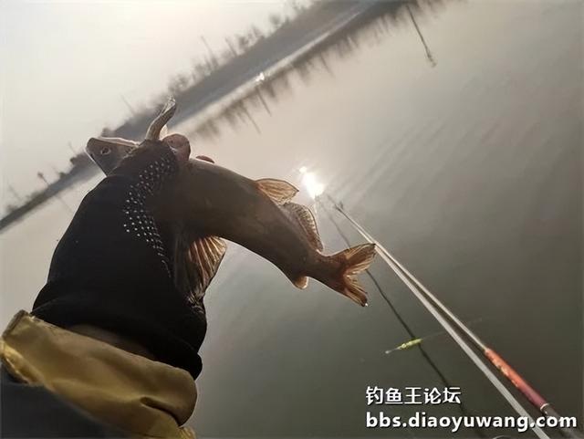 地狱猫水库试钓，遇涨水小有收获