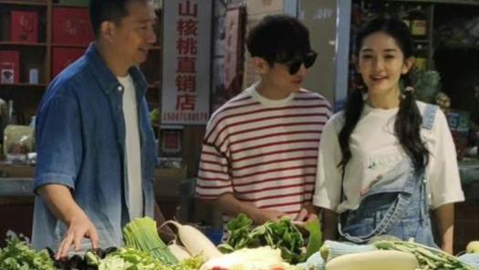 谢娜|《向往7》出新路透，谢娜加盟不见赵丽颖吴昕，两大同框希望落空