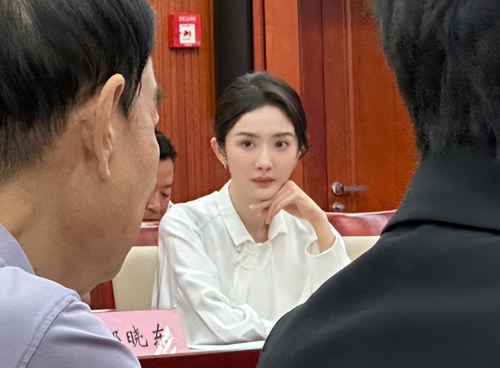 杨幂身穿廉价衬衫出席座谈会,呼吁抵制天价片酬,却惨遭网友嘲讽