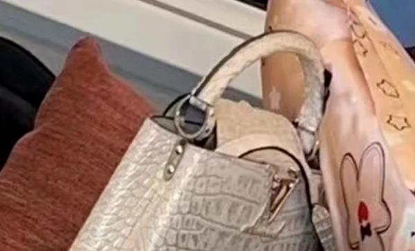 刘亦菲在高铁睡觉被偷拍,皮肤泛红山根突出,32万包包随手放一旁