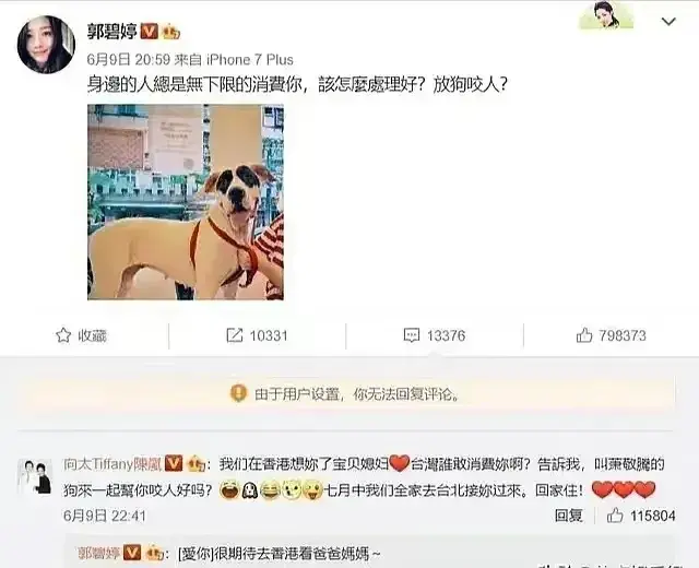 向佐苦求不得,何猷君水到渠成,奚梦瑶和郭碧婷豪门有别