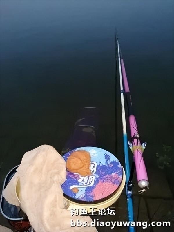 |天乐鲫竿弯弓现,大鲫大鲤争上岸